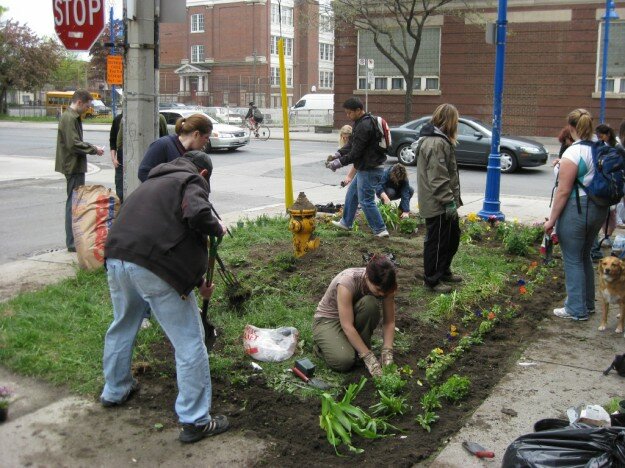 http://guerrillagardening.wordpress.com/